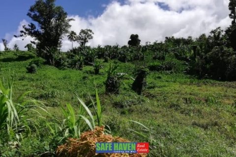 39943m² Land en Saint Joseph, Dominica No. 66284 10