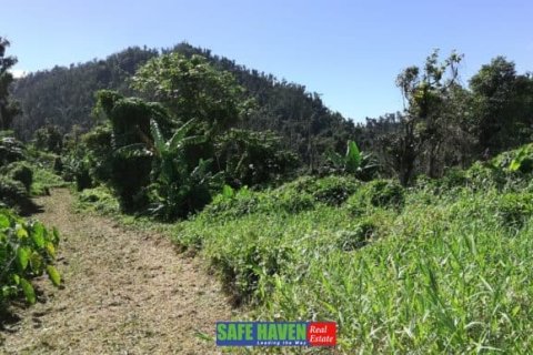 39943m² Land à Saint Joseph, Dominica No. 66284 5