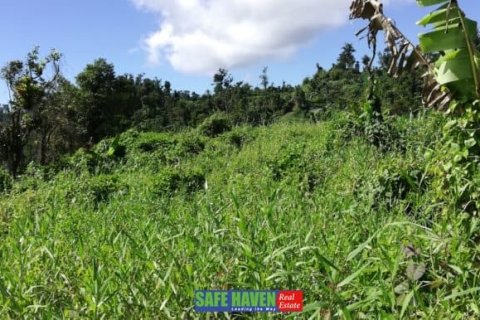 39943m² Land à Saint Joseph, Dominica No. 66284 6