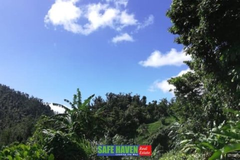 39943m² Land en Saint Joseph, Dominica No. 66284 7