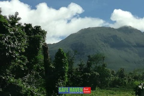 39943m² Land en Saint Joseph, Dominica No. 66284 11