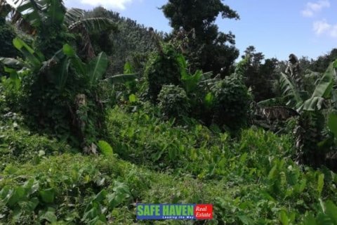 39943m² Land in Saint Joseph, Dominica No. 66284 1