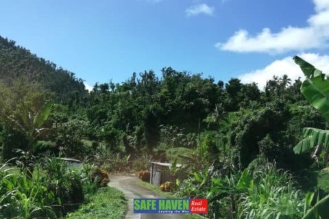 39943m² Land en Saint Joseph, Dominica No. 66284 8