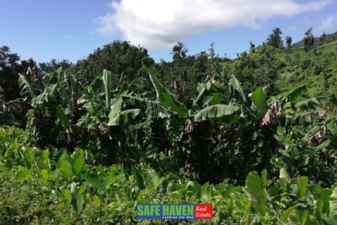 39943m² Land en Saint Joseph, Dominica No. 66284 3