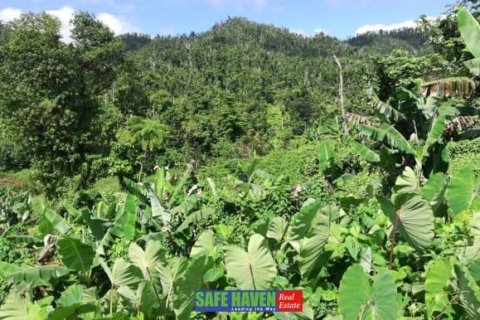 39943m² Land à Saint Joseph, Dominica No. 66284 4