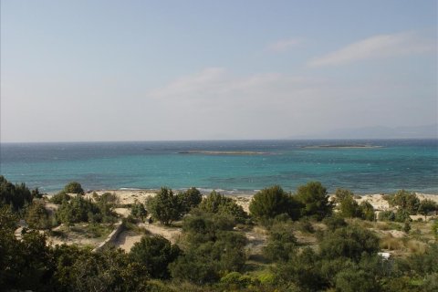 145000m² Land in Laconia, Greece No. 57284 14