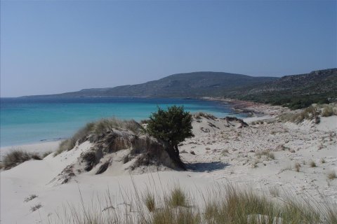 145000m² Land in Laconia, Greece No. 57284 2