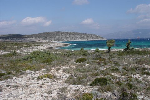 145000m² Land à Laconia, Greece No. 57284 7