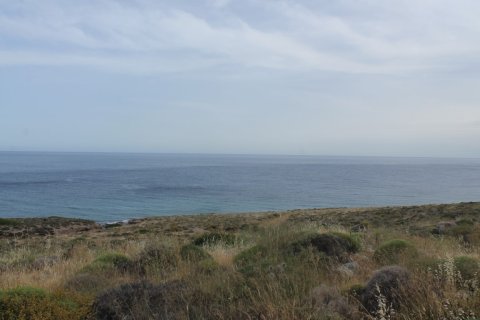 820000m² Land in Lasithi, Greece No. 57288 2