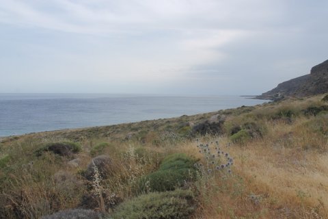 820000m² Land in Lasithi, Greece No. 57288 1