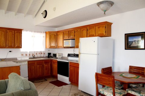 5 bedrooms Condo  in Frigate Bay, Saint Kitts and Nevis No. 61444 1