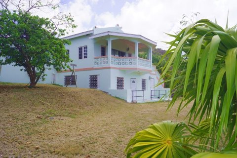 4 dormitorios Villa en Basseterre, Saint Kitts and Nevis No. 61439 4