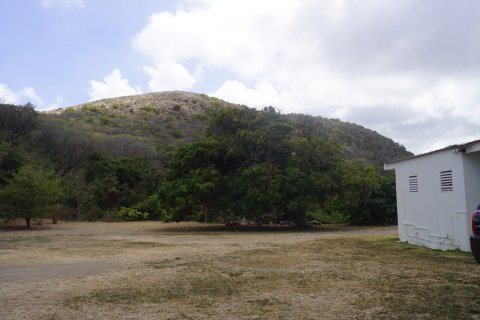 4 chambres Villa à Basseterre, Saint Kitts and Nevis No. 61439 16