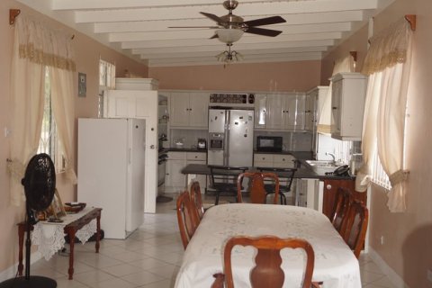 4 dormitorios Villa en Basseterre, Saint Kitts and Nevis No. 61439 9