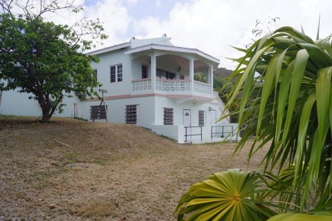 4 bedrooms Villa in Basseterre, Saint Kitts and Nevis No. 61439 2