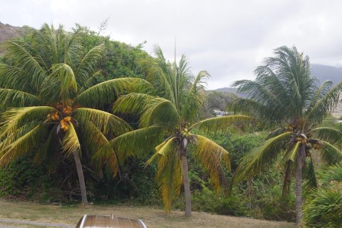 4 bedrooms Villa in Basseterre, Saint Kitts and Nevis No. 61439 13