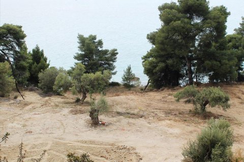 4320m² Land à Chalkidiki, Greece No. 60472 1