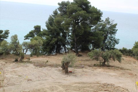 4320m² Land in Chalkidiki, Greece No. 60472 3