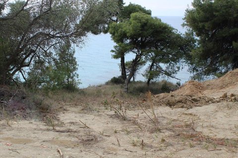 4320m² Land in Chalkidiki, Greece No. 60472 6