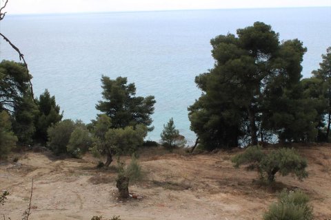 4320m² Land in Chalkidiki, Greece No. 60472 4