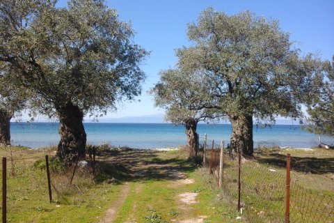 10500m² Land in Thasos, Greece No. 60475 5