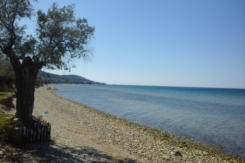 10500m² Land en Thasos, Greece No. 60475 7