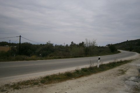 16000m² Land in Thasos, Greece No. 60474 8