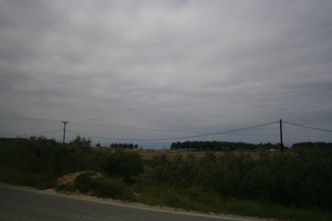 16000m² Land in Thasos, Greece No. 60474 7