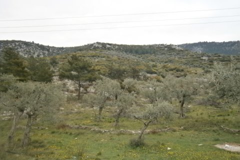 16000m² Land à Thasos, Greece No. 60474 4