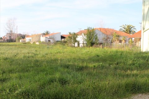 4225m² Land à Corfu, Greece No. 60476 1