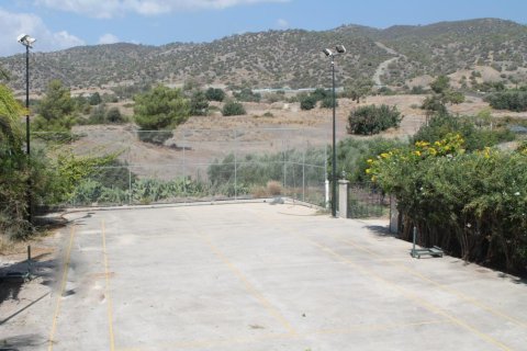 5 dormitorios Villa en Limassol, Cyprus No. 50434 14