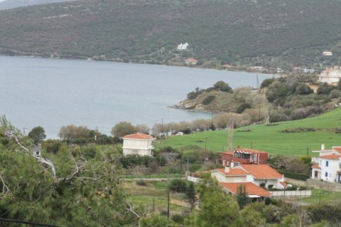 5 dormitorios Villa en Chania, Greece No. 47763 14