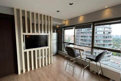 1+1 Appartement à Istanbul, Turkey No. 15628 3