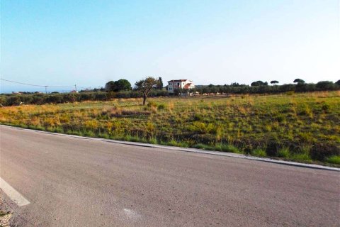 Land in Zakynthos, Greece No. 76134 7