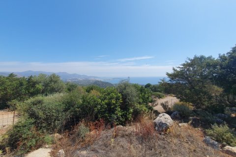 18977m² Land in Agios Nikolaos, Greece No. 55513 3