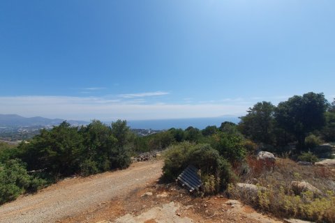 18977m² Land à Agios Nikolaos, Greece No. 55513 2