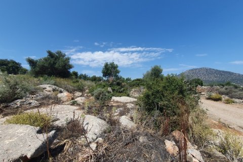 18977m² Land à Agios Nikolaos, Greece No. 55513 5