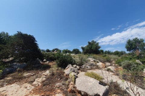 18977m² Land à Agios Nikolaos, Greece No. 55513 4