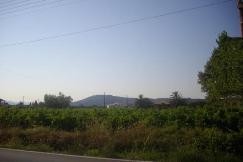 Land en Zakynthos, Greece No. 24790 1