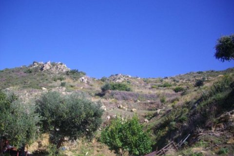 Land in Zakynthos, Greece No. 24789 3