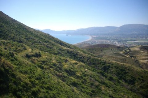 Land in Zakynthos, Greece No. 24789 6