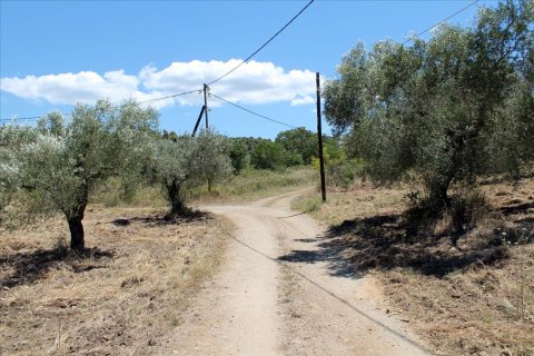 9000m² Land in Chalkidiki, Greece No. 60203 5