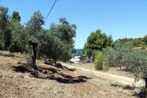 9000m² Land in Chalkidiki, Greece No. 60203 14