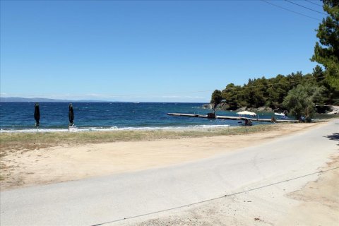 9000m² Land en Chalkidiki, Greece No. 60203 2