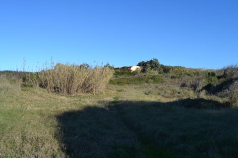 9000m² Land in Corfu, Greece No. 59985 3