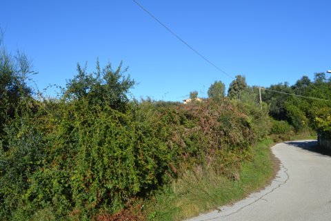 9000m² Land in Corfu, Greece No. 59985 6