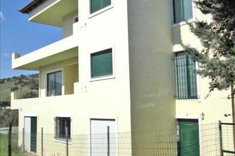 360m² House in Kalyvia Thorikou, Greece No. 59986 5