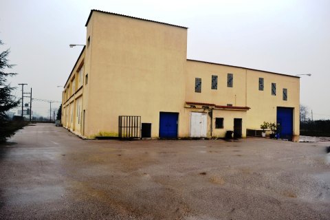 2600m² Business in Lagkadas, Greece No. 59984 14