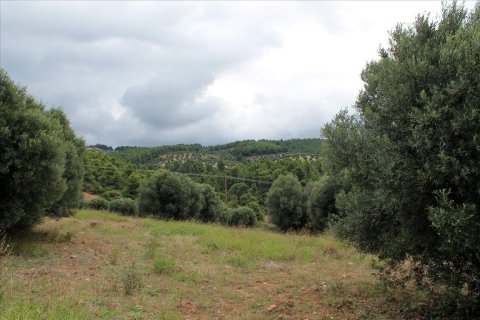 16500m² Land en Chalkidiki, Greece No. 60080 4