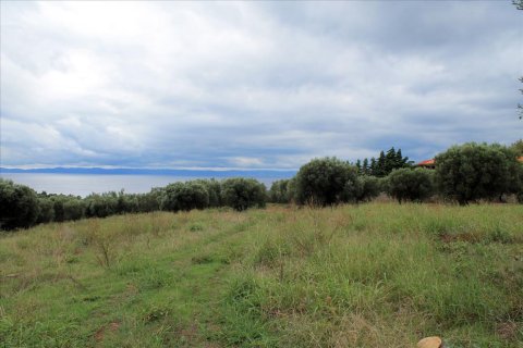 16500m² Land en Chalkidiki, Greece No. 60080 7